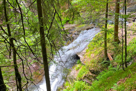 Watervallen Tour vanuit Sarajevo: Wandeling en Bosnische Lunch