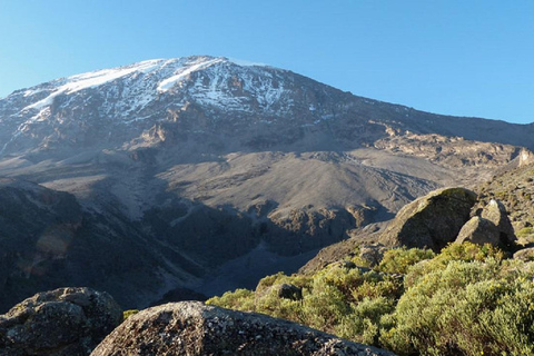 Kilimanjaro 3 Tage auf Trek - Marangu Route Tour3 Tage Marangu Route - Kilimanjaro Trekking