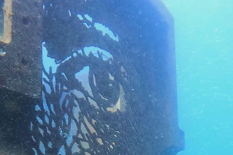 Albufeira: doppia immersione oceanica per subacquei certificati