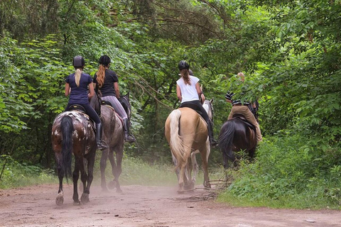 Kuşadası: Horse Riding Adventure with Hotel Pickup and Guide