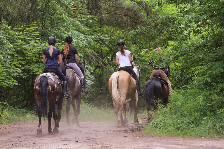 Kuşadası: Horse Riding Adventure with Hotel Pickup and Guide