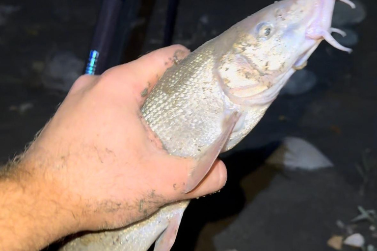 Western Georgia River Fishing & Georgian Food Experience