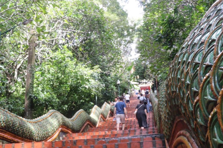 Doi Suthep & Pha Lat Temple, Sticky Waterfall, Orchid Farm Doi Suthep Temple & Sticky Waterfall &Pha Lat Temple (Join )