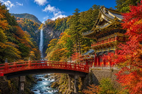 Tokyo: Nikko World Heritage & Nature Private Customized Tour