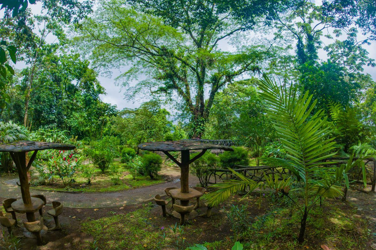 Hanging Bridges Walk in Arenal Volcano