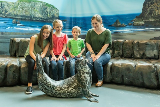Georgia Aquarium: ontmoeting met zeehonden