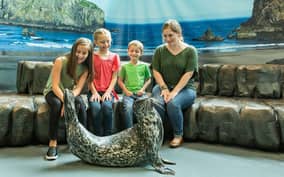 Georgia Aquarium: Harbor Seal Animal Encounter