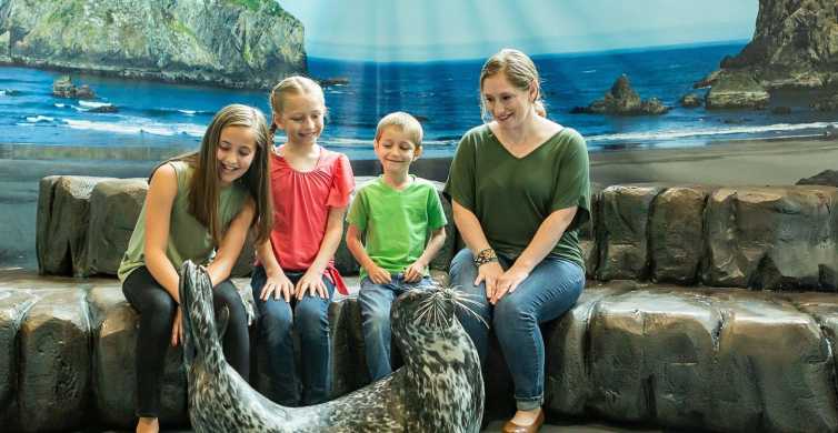 Acvariul Georgia: Întâlnire cu animale Harbor Seal