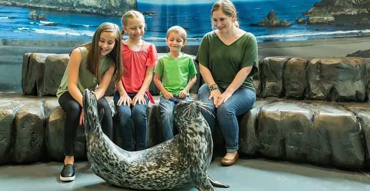 Acvariul Georgia: Întâlnire cu animale Harbor Seal