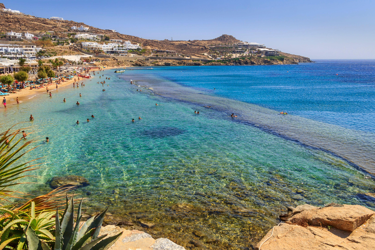 Mykonos: Paradise Beach Cruise Ship Transfer with Sunbeds