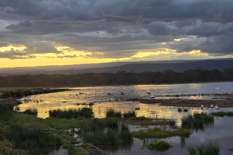 From Nairobi: Lake Nakuru National Park Safari with Lunch