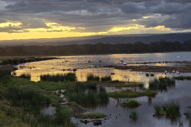 From Nairobi: Lake Nakuru National Park Safari with Lunch