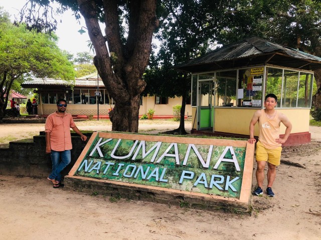 Visit Half-Day Kumana National Park 4 x 4 wheel Safari in Lahugala