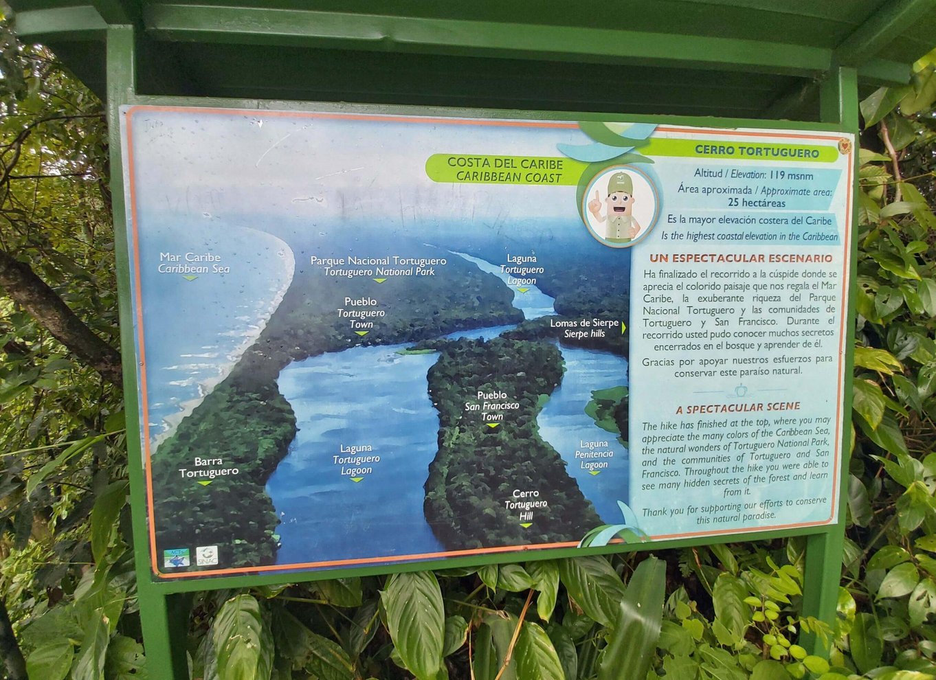 Tortuguero: Tur i Tortuguero-bjerget (sovende vulkan)