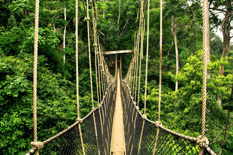 Desde Kuala Lumpur Tour privado al Parque Nacional de Taman Negara