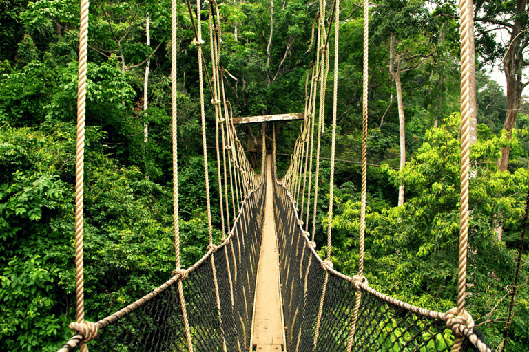 Från Kuala Lumpur: Taman Negara National Park Privat tur