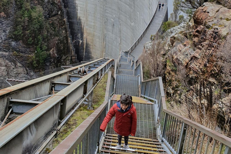 Depuis Hobart : Excursion d'une journée au barrage Gordon et au lac Pedder Wilderness