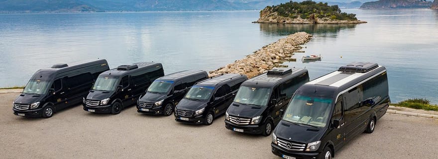 Au départ de Nauplie : visite d'une demi-journée à Mycènes-Epidaures