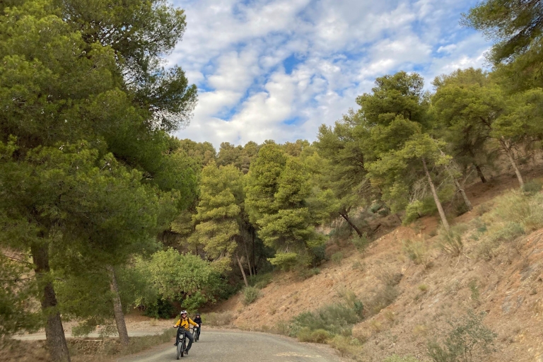 Elektrisch FAT-fietsen in Montes de Malaga en het platteland