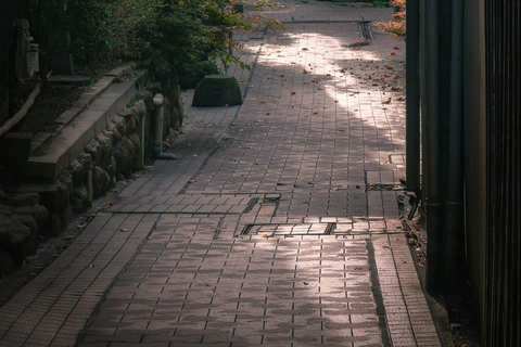 Tokyo: Nagano, Snow Monkeys and Zenko-ji Temple Private Tour