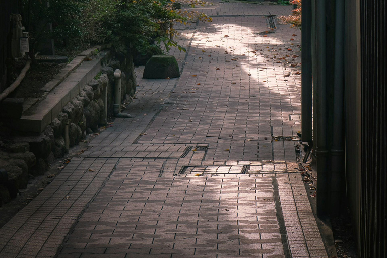 Tokyo: Nagano, Snow Monkeys and Zenko-ji Temple Private Tour