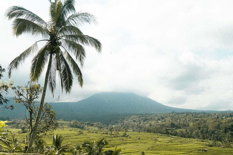 Bali: Jatiluwih Rice Terraces, Waterfall & Temple Tour
