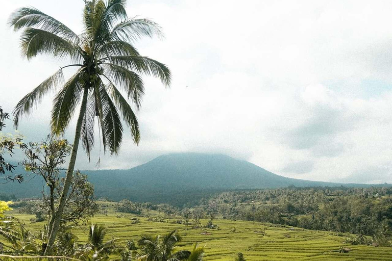 Bali: Jatiluwih Rice Terraces, Waterfall & Temple Tour