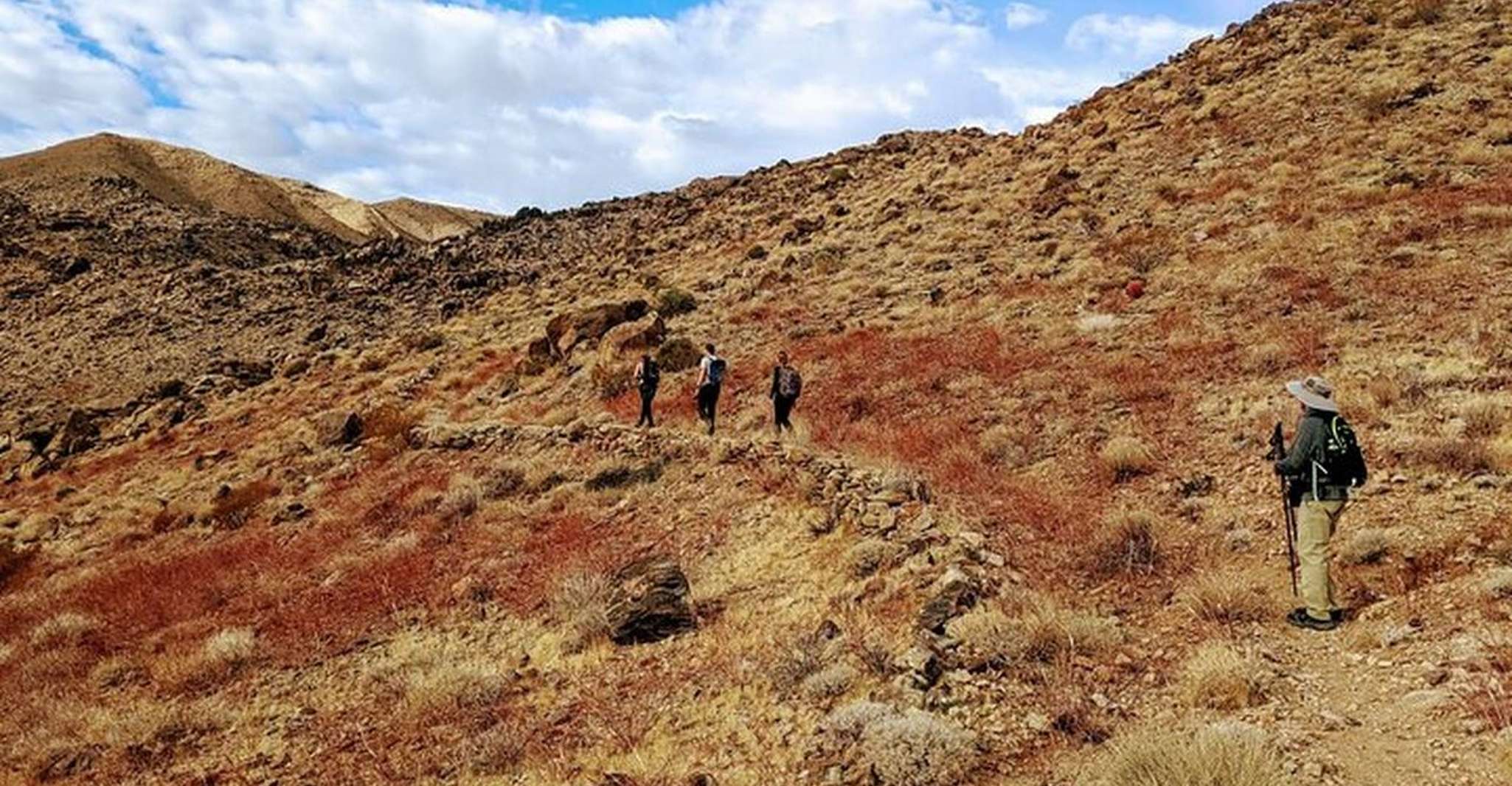Joshua Tree, Half-Day Private Hike of the National Park - Housity