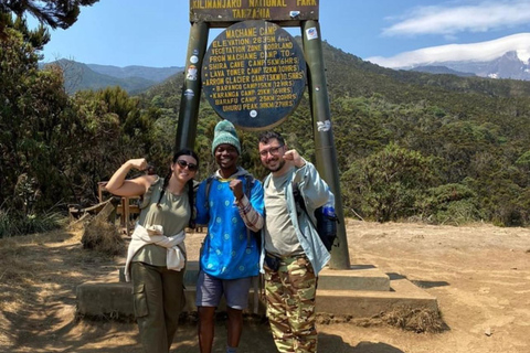 Moshi/Arusha: Kilimanjaro Day Trek~Lemosho, Marangu, Machame Arusha : Machame route day hike