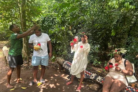 桑给巴尔：香料之旅、石头城和监狱岛（含午餐）香料农场、石头城（不含监狱岛入场门票）