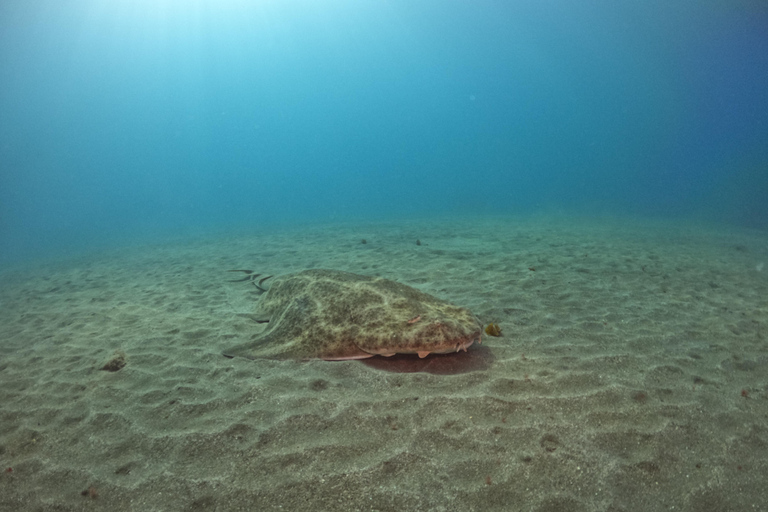 Gran Canaria: 3-Day Open Water Diver Course