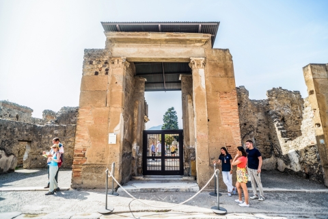 Pompeje: wycieczka w małej grupie z archeologiemWycieczka prywatna w j. niemieckim