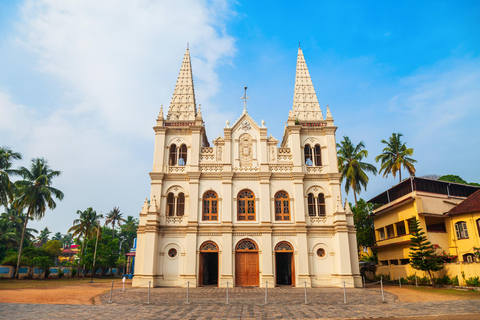 De Cochin: Excursão de mesmo dia ao Forte Kochi com o Palácio Holandês