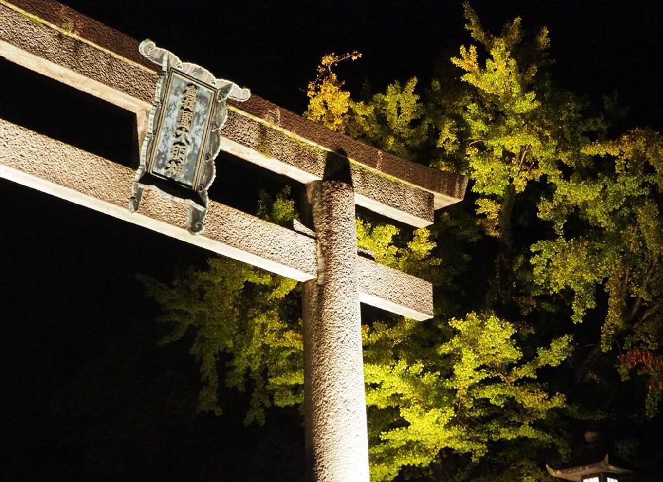 Osaka: Entré til slotstårnet / guidet byvandring