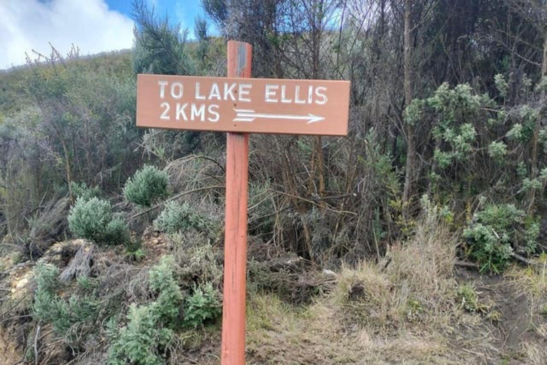 Da Nairobi: Escursione di un giorno sul Monte Kenya con trasferimenti