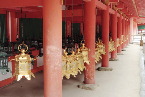 奈良：雾霭中与鹿共行的神圣晨间漫步奈良：雾中与鹿共行的神圣晨间漫步