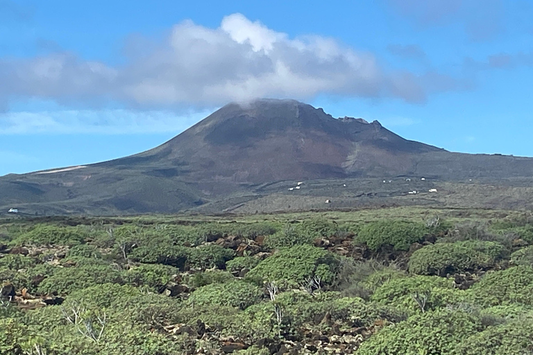 Haria: Guidad promenad i César Manriques hemstad