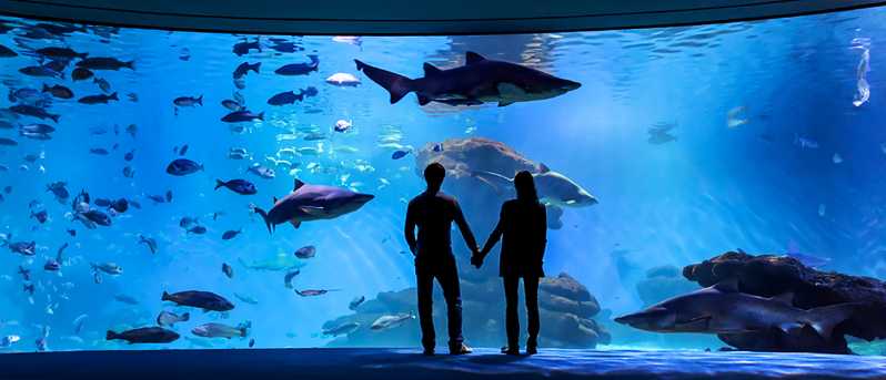 Mallorca: Toegangbewijs Palma Aquarium met Optionele 3D Bioscoop