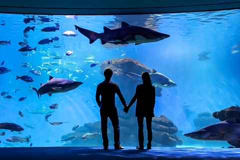 Mallorca: Palma Aquarium Eintrittskarte mit 3D Kino
