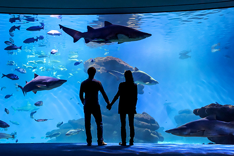 Mallorca : Billet d'entrée à l'aquarium de Palma avec cinéma 3D