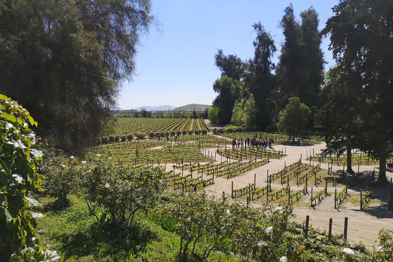 Excursión ampliada a Concha y Toro con 7 degustaciones y Lapislázuli