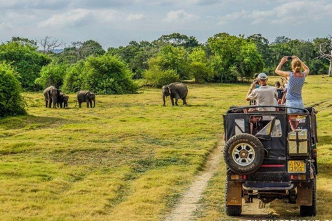 Victoria Falls: Chobe National Park Day Trip with Lunch