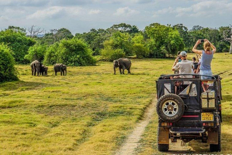 Victoria Falls: Chobe National Park Day Trip with Lunch