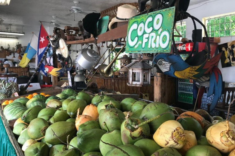 A gourmet walk through Little Havana and Coconut Grove - in French