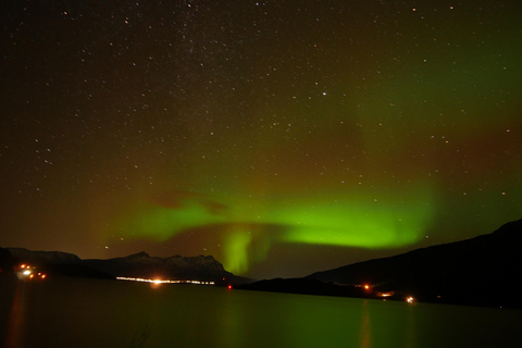 Harstad/Narvik/Tjeldsund: Northern Lights Sightseeing by Car