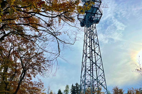 Teleférico de Zúrich paisaje panorámico lago de Zúrich comodidad