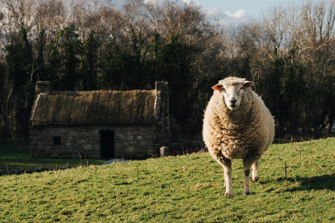 Belfast: Ulster Folk Museum Admission Ticket