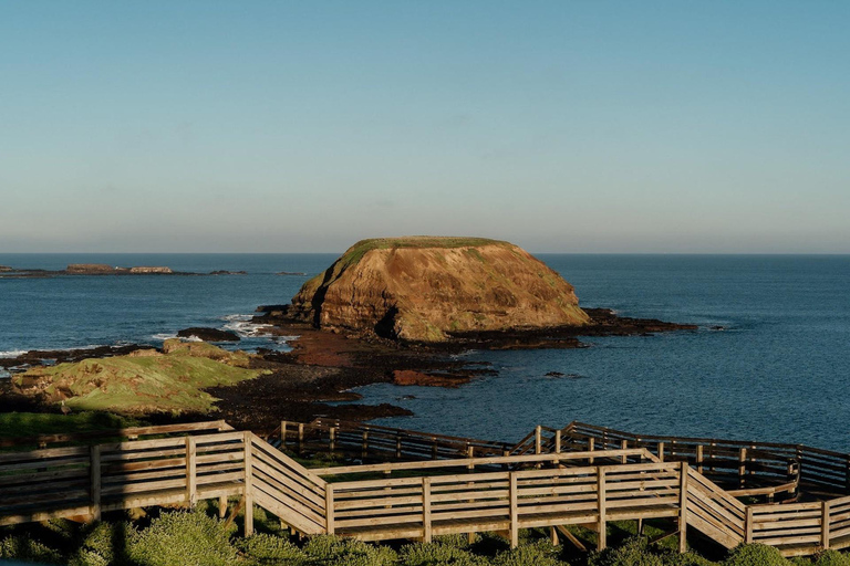 Phillip Island: Golden Hour Penguin Express-tourPhillip Island: Gouden Uur Pinguïn Express Tour