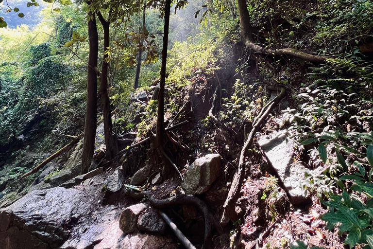 Chiang Mai 2-Day Adventure: Trekking, Tubing & Waterfalls 1-Night Jungle Stay - Trek, Tubing & Waterfall