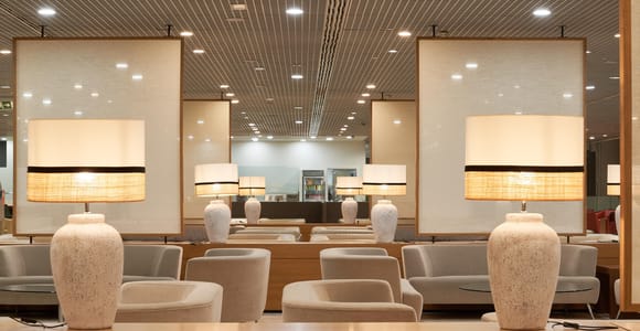 Málaga: Access to VIP Lounge at Málaga Airport